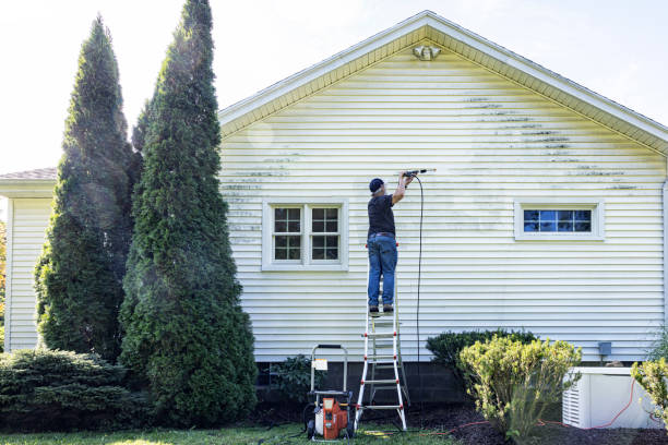 Best Rust Removal  in Willimantic, CT